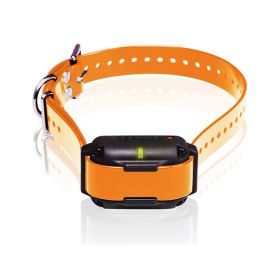 Dogtra Edge Rt Trainer Extra Collar