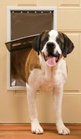 Petsafe Freedom Pet Door (Option: Extra Large)