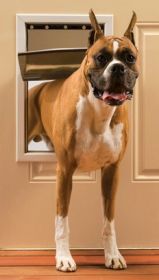 Petsafe Freedom Pet Door (Option: Large)