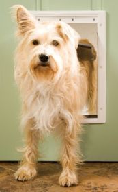 Petsafe Plastic Dog Door (Option: Medium  Ppa0010959)