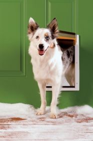 Petsafe Extreme Weather Plastic Frame Dog & Cat Door (Option: Medium  Ppa0010985)