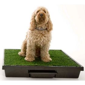 Petsafe Pet Loo Dog Potty Training System (Option: Medium  Pwm0014498)